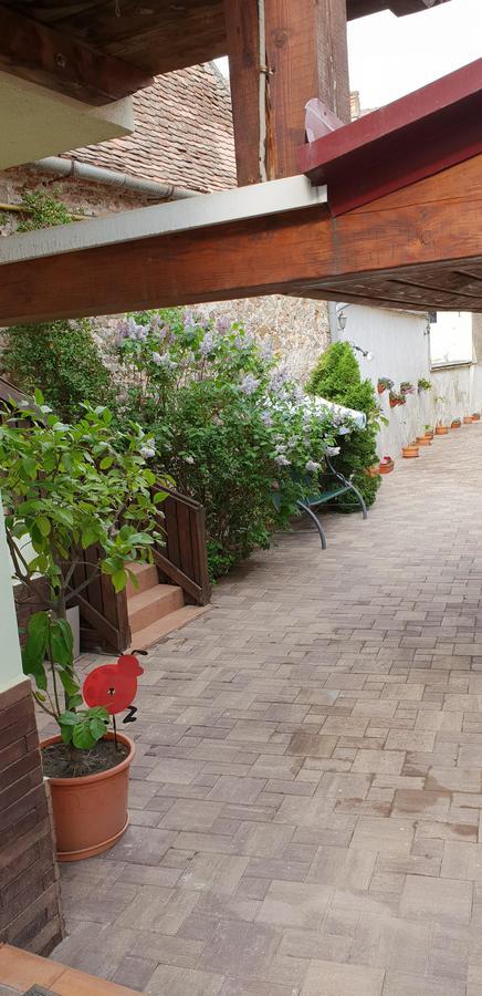 Pensiunea Cocosul Rosu Sibiu Ngoại thất bức ảnh