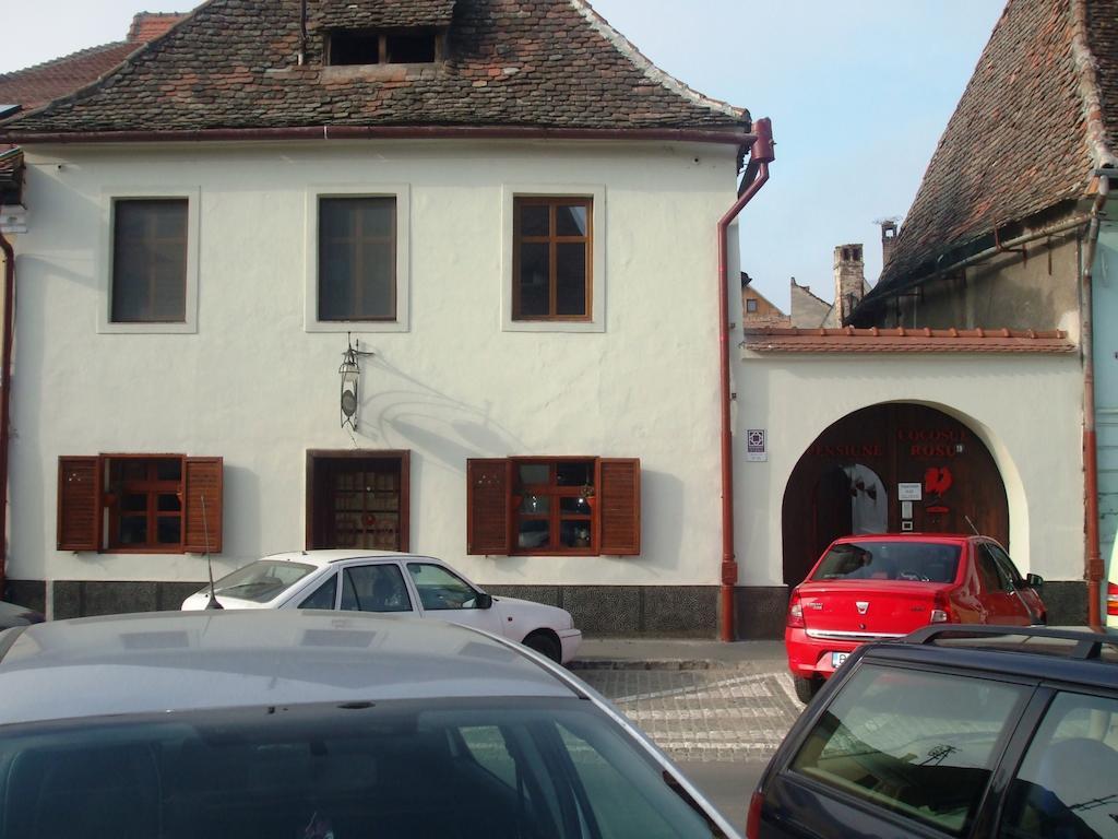 Pensiunea Cocosul Rosu Sibiu Ngoại thất bức ảnh